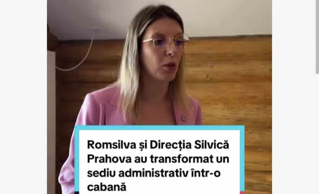 Circ politic pe banii publici: Fostul ministru demis Diana Buzoianu «scotocește» după nereguli închipuite în Prahova