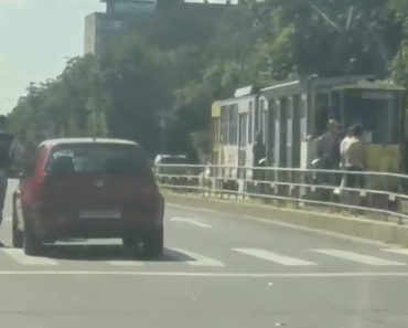 Pieton lovit de o mașină pe trecerea de pietoni, în Ploiești. Trafic îngreunat pe strada Democrației Pieton lovit de o mașină pe trecerea de pietoni, în Ploiești. Trafic îngreunat pe strada Democrației