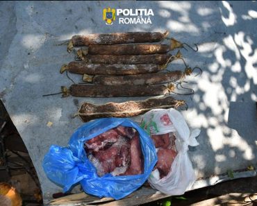 Percheziții la Comarnic pentru braconaj. Un bărbat a fost reținut Percheziții la Comarnic pentru braconaj. Un bărbat a fost reținut