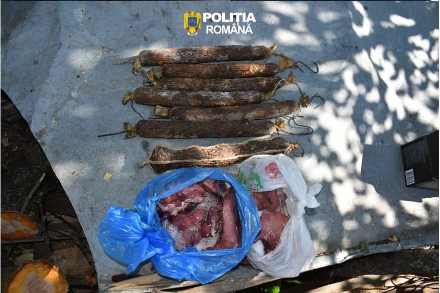Percheziții la Comarnic pentru braconaj. Un bărbat a fost reținut Percheziții la Comarnic pentru braconaj. Un bărbat a fost reținut