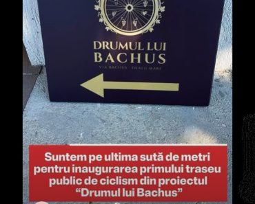 VIDEO: Ultimele pregătiri pentru evenimentul lunii: Inaugurarea Drumului lui Bachus