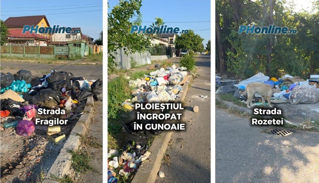 VIDEO/ Orașul Oamenilor Liberi: Pe străzile din Ploiești, mizeria aruncată se coace la soare și formează focare de infecție