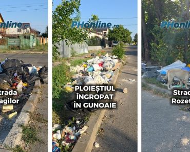 VIDEO/ Orașul Oamenilor Liberi: Pe străzile din Ploiești, mizeria aruncată se coace la soare și formează focare de infecție VIDEO/ Orașul Oamenilor Liberi: Pe străzile din Ploiești, mizeria aruncată se coace la soare și formează focare de infecție