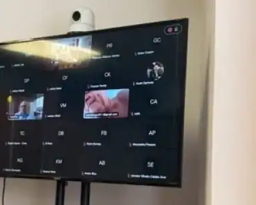 VIDEO Blaga a intrat dezbrăcat să o certe pe senatoarea Nadia Cerva în ședința unei comisii