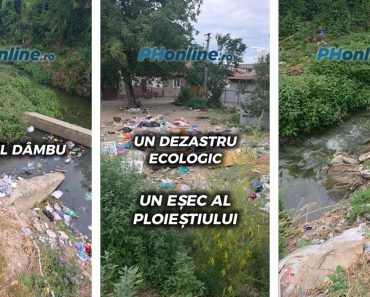 VIDEO: Pârâul Dâmbu. Un dezastru ecologic. Un eșec al Ploieștiului VIDEO: Pârâul Dâmbu. Un dezastru ecologic. Un eșec al Ploieștiului