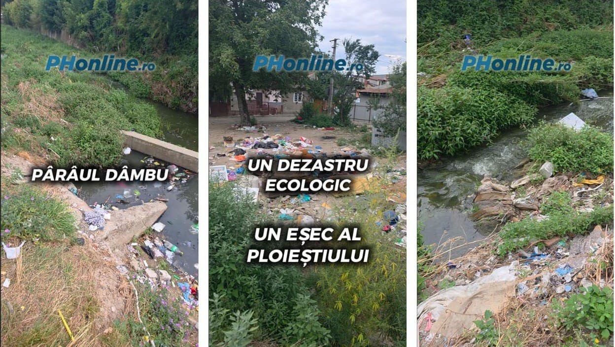 VIDEO: Pârâul Dâmbu. Un dezastru ecologic. Un eșec al Ploieștiului VIDEO: Pârâul Dâmbu. Un dezastru ecologic. Un eșec al Ploieștiului