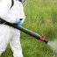 Floricon: Dezinsectie spatii verzi si parcuri in Campina