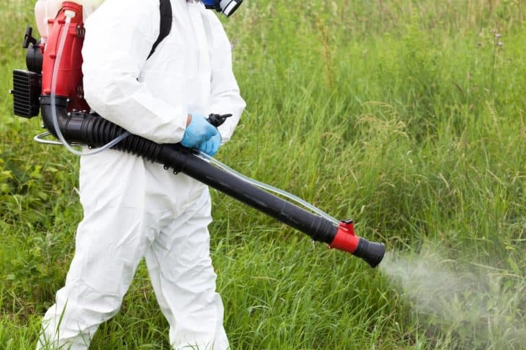 Floricon: Dezinsectie spatii verzi si parcuri in Campina