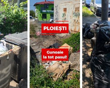 VIDEO/ Sesizările ploieștenilor: Maldăre de gunoaie, bălării de 2 metri și focare de infecție pe Rudului, Costache Negri, Bariera București și Gara de Sud VIDEO/ Sesizările ploieștenilor: Maldăre de gunoaie, bălării de 2 metri și focare de infecție pe Rudului, Costache Negri, Bariera București și Gara de Sud