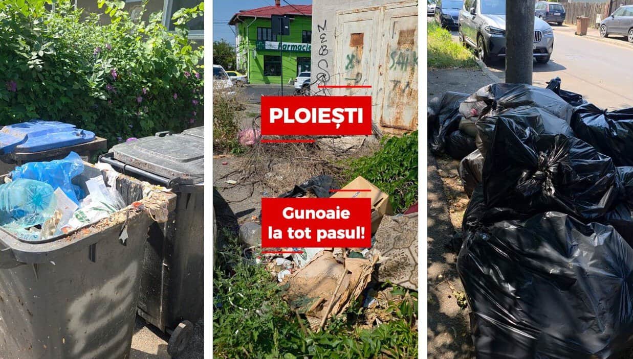 VIDEO/ Sesizările ploieștenilor: Maldăre de gunoaie, bălării de 2 metri și focare de infecție pe Rudului, Costache Negri, Bariera București și Gara de Sud VIDEO/ Sesizările ploieștenilor: Maldăre de gunoaie, bălării de 2 metri și focare de infecție pe Rudului, Costache Negri, Bariera București și Gara de Sud