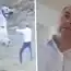 Ies la iveală informații cumplite din trecutul lui Fănel Bogos, în dosarul căruia a fost pusă sub acuzare Cristina Trăilă. Afaceristul a torturat un cal până la moarte. Polițiștii au descris scenele ca fiind „de o brutalitate ieșită din comun”