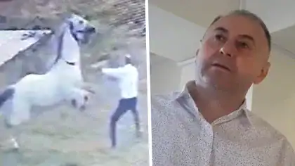Ies la iveală informații cumplite din trecutul lui Fănel Bogos, în dosarul căruia a fost pusă sub acuzare Cristina Trăilă. Afaceristul a torturat un cal până la moarte. Polițiștii au descris scenele ca fiind „de o brutalitate ieșită din comun” Ies la iveală informații cumplite din trecutul lui Fănel Bogos, în dosarul căruia a fost pusă sub acuzare Cristina Trăilă. Afaceristul a torturat un cal până la moarte. Polițiștii au descris scenele ca fiind „de o brutalitate ieșită din comun”