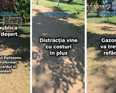 VIDEO: Republica din deșert. Primarul Polițeanu a transformat Bulevardul Castanilor în maidan