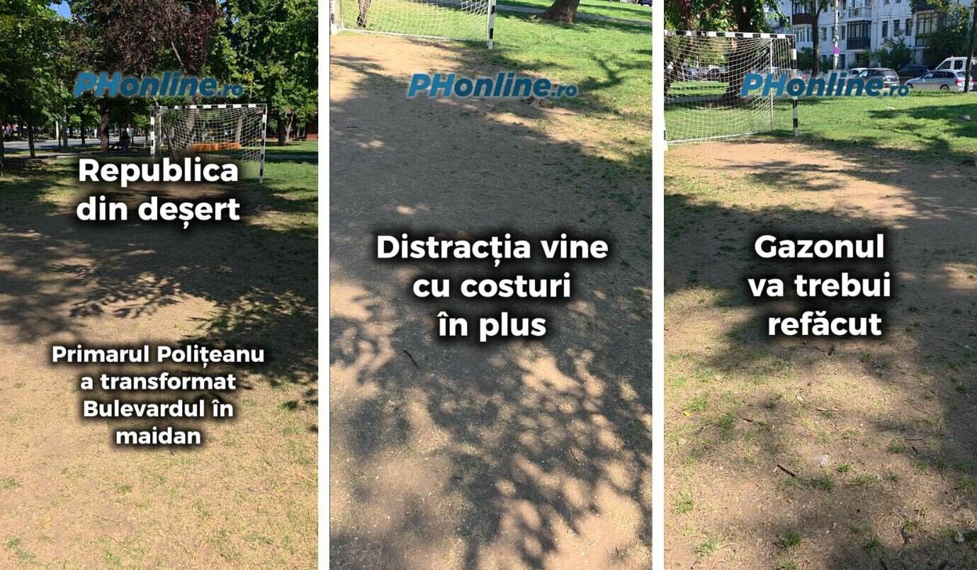 VIDEO: Republica din deșert. Primarul Polițeanu a transformat Bulevardul Castanilor în maidan