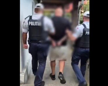 Mașină cu numere de corp diplomatic false oprită la Sinaia. Șoferul avea și permisul fals!