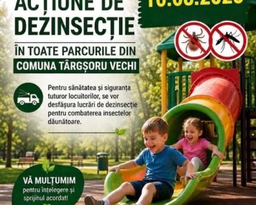 Primăria Târgșoru Vechi: Acțiune de dezinsecție în toate parcurile Primăria Târgșoru Vechi: Acțiune de dezinsecție în toate parcurile