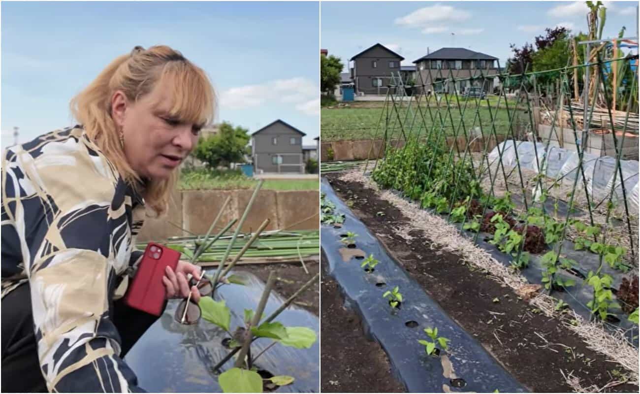 Viața unei românce care este stabilită de 30 de ani în Japonia. „Sunt numai aparențe”