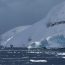 O muscă din Arctica a ajuns în Antarctica. Oamenii de ştiinţă avertizează: poate provoca „o destabilizare ecosistemică a mediului”