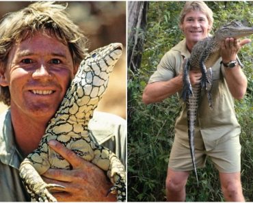 20 de ani fără Steve Irwin. Soția „Vânătorului de crocodili”, mesaj emoționant la două decenii de la tragedie 20 de ani fără Steve Irwin. Soția „Vânătorului de crocodili”, mesaj emoționant la două decenii de la tragedie