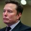 Elon Musk i-a spus unei foste iubite că are nevoie de „o legiune de copii înainte de începerea unui război civil”