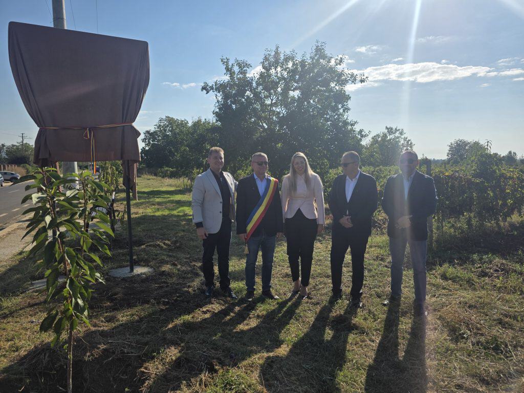 VIDEO: Ceptura, a treia stațiune oenoturistică din Ținutul Vinului