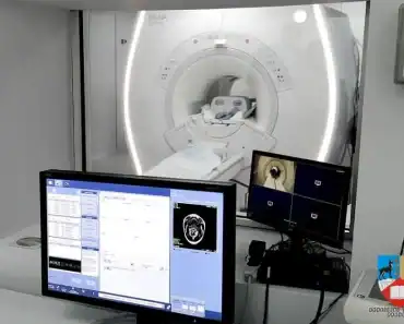 O pacientă ne-a povestit experiența sa la Spitalul Județean din Ploiești: „Am intrat la ora la care eram programată și am fost primită cu căldură”