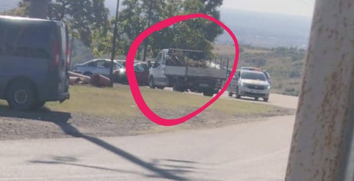 SCANDAL LA BOLDEȘTI-SCĂIENI: Camionetă a primăriei, prinsă de poliție în timp ce transporta un porc mort pentru a fi îngropat ilegal