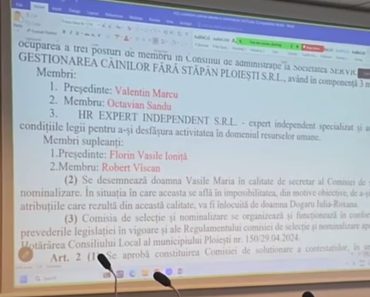 Consiliul Local Ploiești a aprobat comisia de selecție pentru CA-ul societății care gestionează câinii fără stăpân Consiliul Local Ploiești a aprobat comisia de selecție pentru CA-ul societății care gestionează câinii fără stăpân