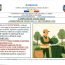 Primăria Ariceștii Rahtivani: Colectare deșeuri vegetale, 13 septembrie 2026