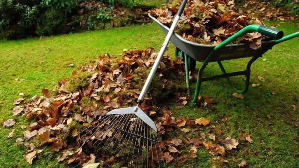 Primăria Blejoi: ANUNȚ: Campanie de colectare a deșeurilor vegetale în toată comuna! Primăria Blejoi: ANUNȚ: Campanie de colectare a deșeurilor vegetale în toată comuna!