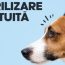 Campanie de sterilizări gratuite a câinilor, în Băicoi. Vezi anunțul primarului Marius Constantin