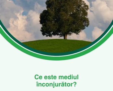 Vitalia Mediu: Mediul înconjurător, între natură și influența omului Vitalia Mediu: Mediul înconjurător, între natură și influența omului