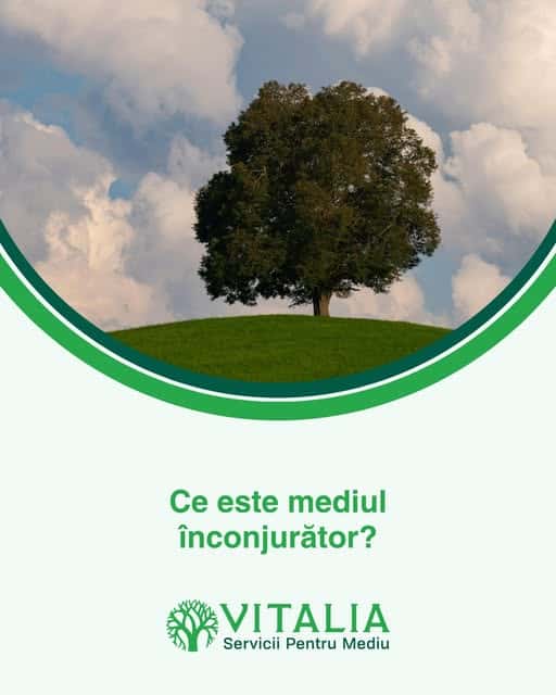 Vitalia Mediu: Mediul înconjurător, între natură și influența omului