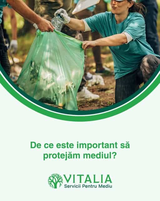 Vitalia Mediu: Protecția mediului are un impact semnificativ asupra sănătății umane, a ecosistemelor și a întregii planete