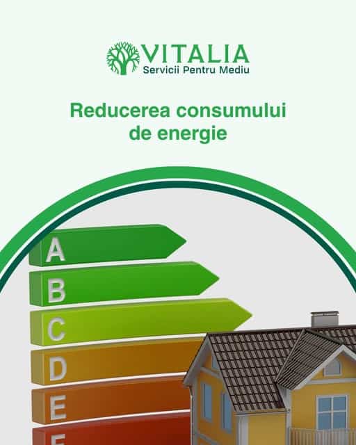 Vitalia Mediu: Reducerea consumului de energie reprezintă un pilon fundamental în eforturile de combatere a schimbărilor climatice