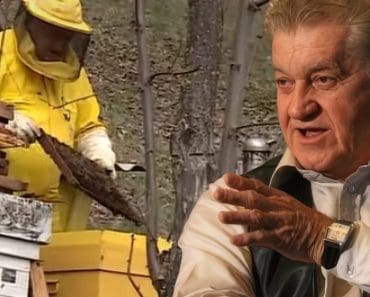 La 89 de ani, Dorel Vișan e și apicultor: „Am înlocuit zahărul cu mierea!” Leac băbesc împotriva răcelilor de toamnă