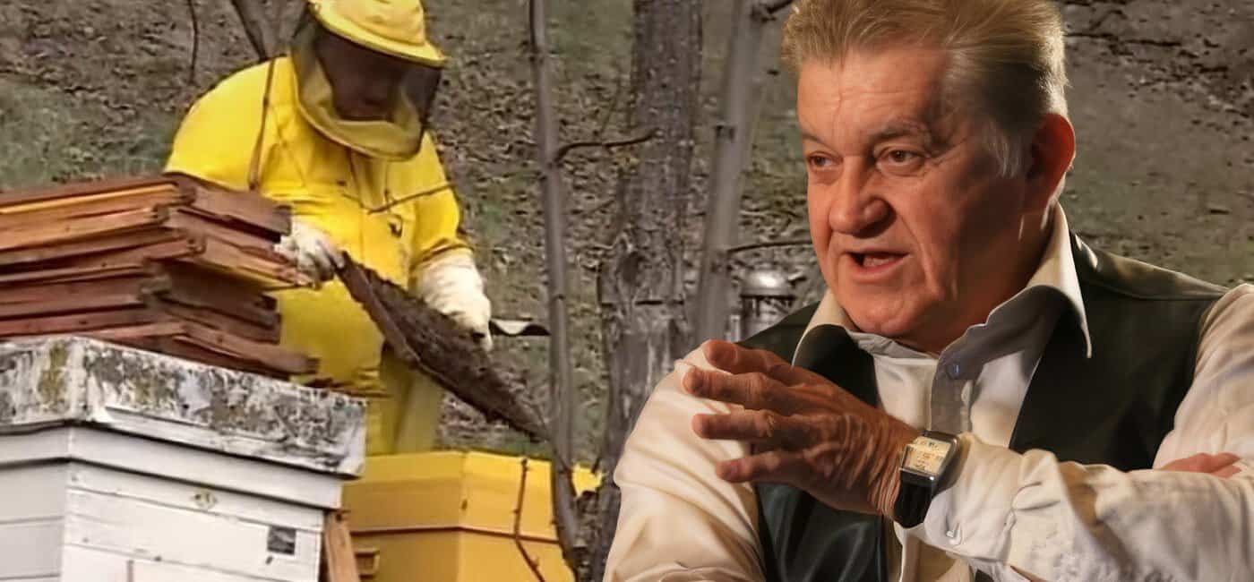 La 89 de ani, Dorel Vișan e și apicultor: „Am înlocuit zahărul cu mierea!” Leac băbesc împotriva răcelilor de toamnă La 89 de ani, Dorel Vișan e și apicultor: „Am înlocuit zahărul cu mierea!” Leac băbesc împotriva răcelilor de toamnă