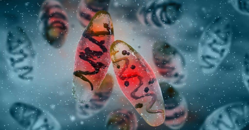Ciuma a revenit în Rusia. Sute de persoane au fost spitalizate după ce medicul trimis să cerceteze a spart o eprubetă cu probe
