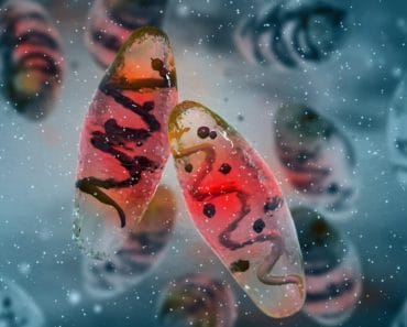 Ciuma a revenit în Rusia. Sute de persoane au fost spitalizate după ce medicul trimis să cerceteze a spart o eprubetă cu probe