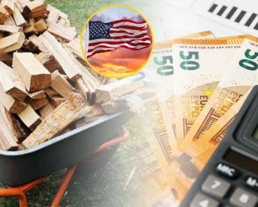 Cât costă lemnele de foc în America? O româncă din Pennsylvania a dezvăluit prețul: „O mașină plină”