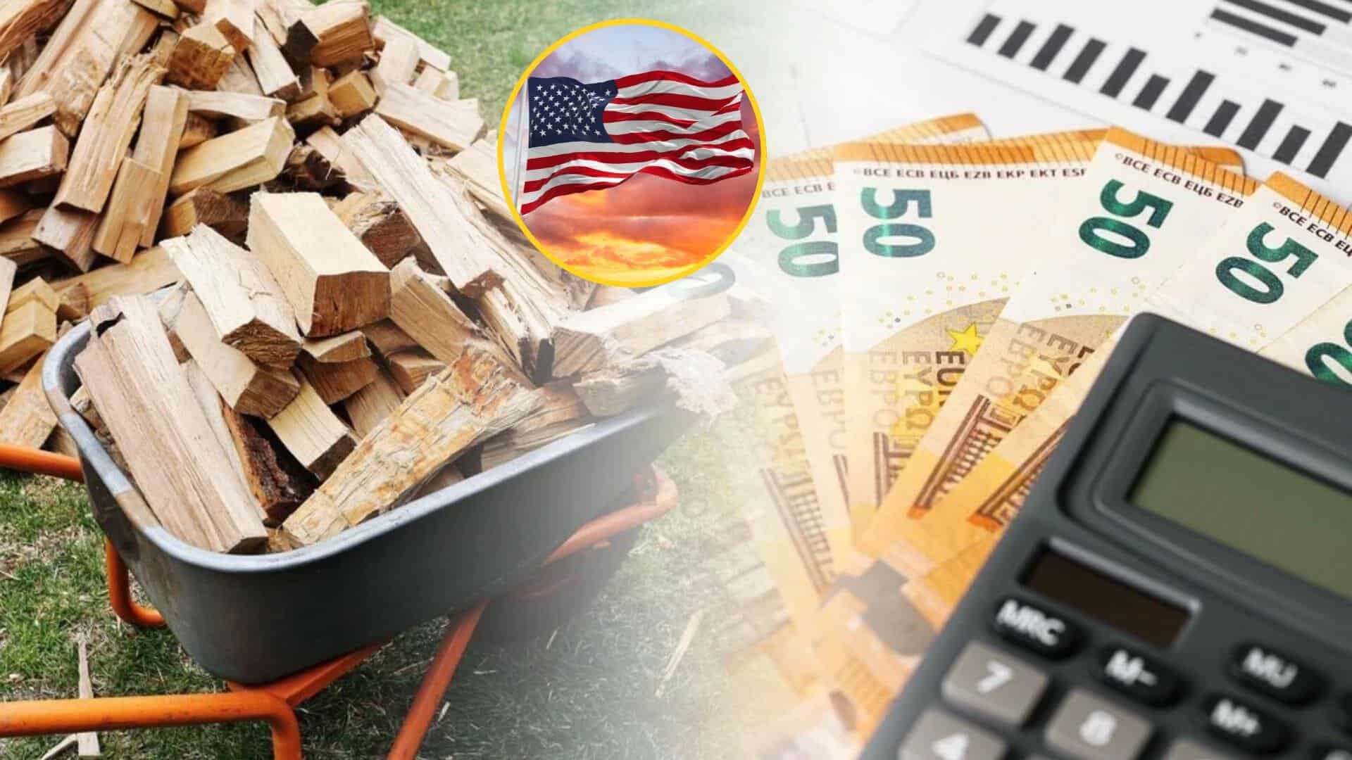 Cât costă lemnele de foc în America? O româncă din Pennsylvania a dezvăluit prețul: „O mașină plină” Cât costă lemnele de foc în America? O româncă din Pennsylvania a dezvăluit prețul: „O mașină plină”
