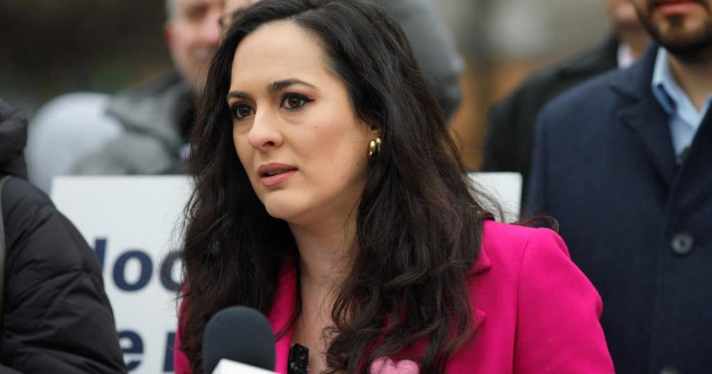 Diana Stoica (USR) îl contestă pe Luca Niculescu: „A fost susţinut pe parcursul carierei sale profesionale de către PSD”