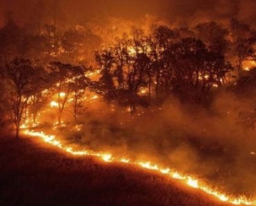 Apelul unui senator PNL, după incendiul masiv din Parcul Naţional Domogled: „Trebuie să corectăm rapid ce nu a funcționat”