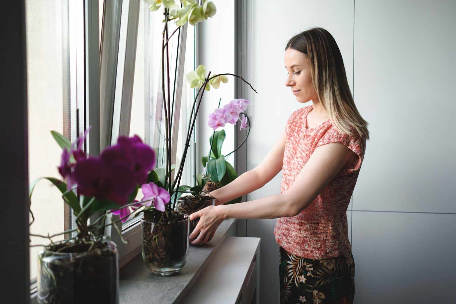 Când trebuie să aduci plantele din balcon și grădină în casă. Temperatura care le poate pune în pericol