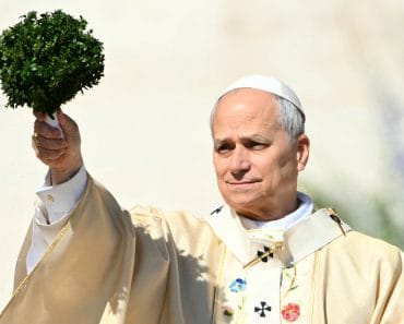 Papa Leon al XIV-lea, operat la plămân! Ce au descoperit medicii și cât timp va rămâne internat Papa Leon al XIV-lea, operat la plămân! Ce au descoperit medicii și cât timp va rămâne internat