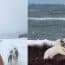 Finalul tragic al unei călătorii de trei ani prin sălbăticia Canadei. Un aventurier s-a filmat chiar înainte să facă o greșeală fatală