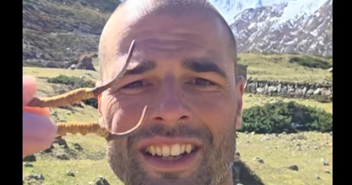 Un culegător de ciuperci polonez a găsit „Viagra din Himalaya”, o trufă rară care poate ajunge la 100.000 de dolari pe kilogram