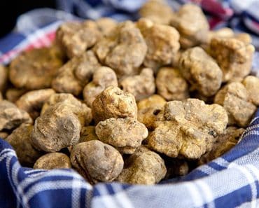 Alimentul rar care se găsește în apropiere de România. Un singur kilogram se vinde cu 5.000 de euro