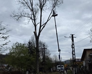 Primăria Aluniș: Intervenție pentru prevenirea penelor de curent pe timpul iernii