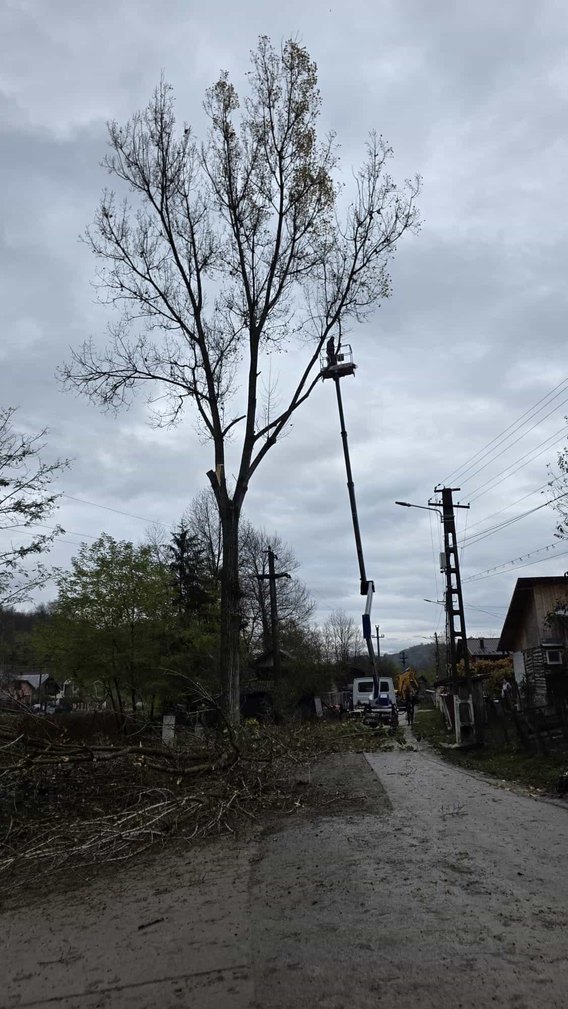 Primăria Aluniș: Intervenție pentru prevenirea penelor de curent pe timpul iernii